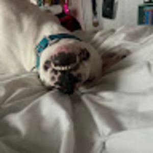 Meet your Posher, Audra